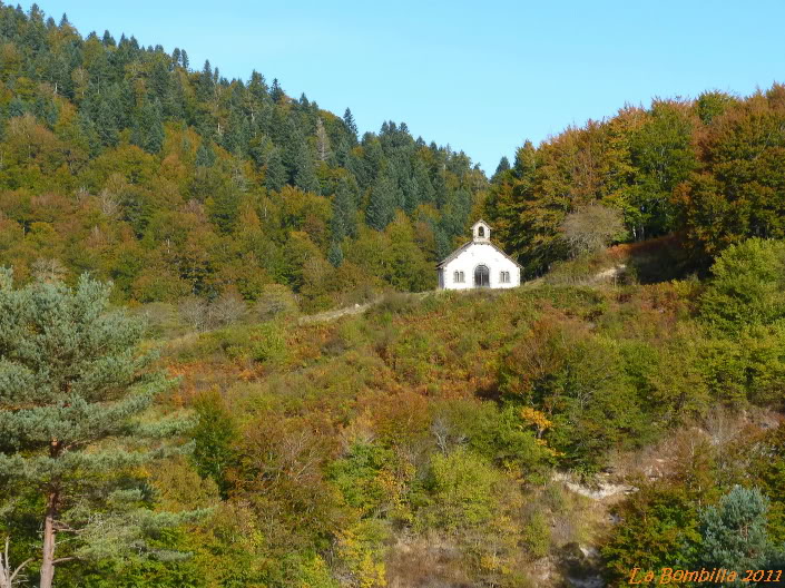 Selva de Irati, Navarra