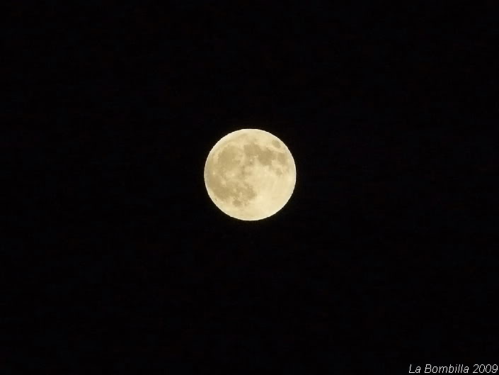 Luna lunera